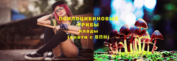 мяу мяу мука Баксан
